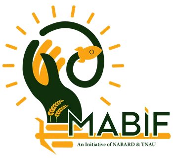 MABIF logo